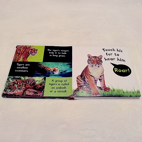 Noisy Animals My First Touch and Feel Sound Book - Picture 7 of 9